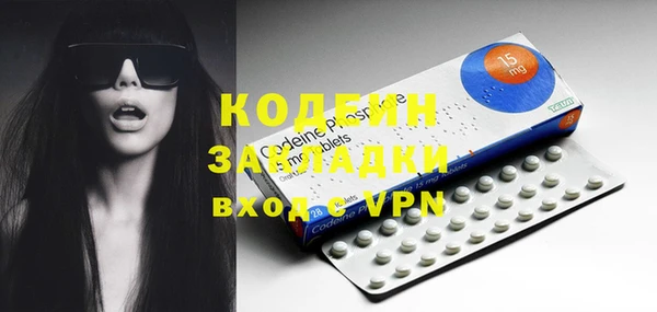 гашик Вяземский