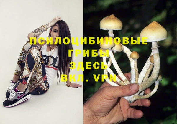 таблы Вязьма