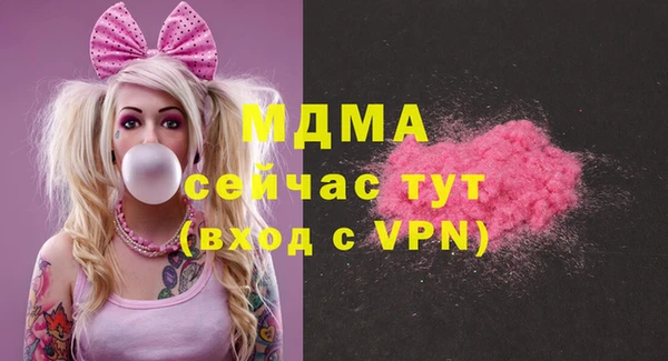 гашик Вяземский