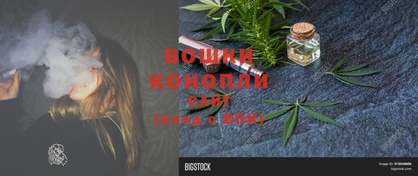 гашик Вяземский