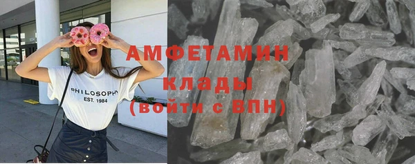 гашик Вяземский