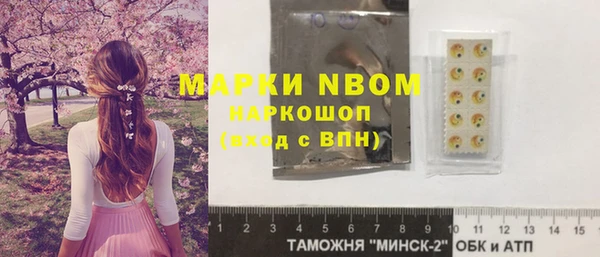 гашик Вяземский