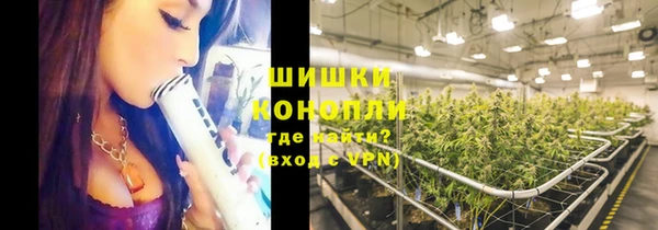 гашик Вяземский