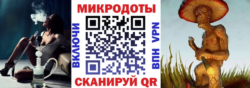 Купить Гусев Псилоцибиновые грибы Psilocybe